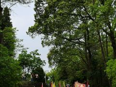 -窦圌山风景区