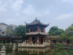 -碧江金楼