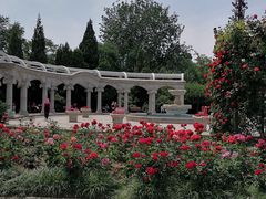 -睦南公园