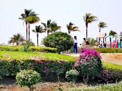 -月亮湾湿地公园