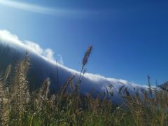 -山王坪喀斯特国家生态公园