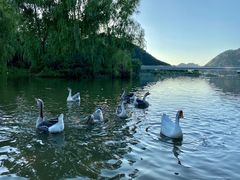 -伊隆斋(什刹海店)