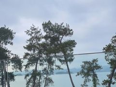 -宝荣鱼馆·临湖之宴(千岛湖店)