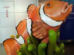 -上海海洋水族馆