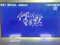 -V-SHOW主题KTV(新城店)