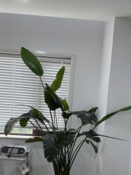 -上海首尔丽格医疗美容医院