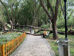 -玲珑塔公园