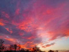 -泡泡玛特POPMART(合生汇店)