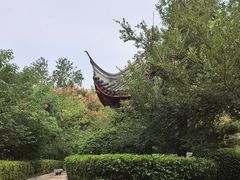 -白沙古井
