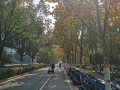 -天鹅湖体育公园