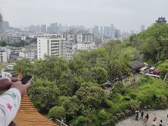 -黄鹤楼公园(黄鹤楼)