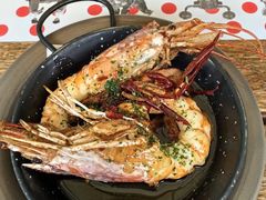 -TOMATITO(无限极荟店)