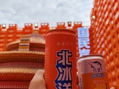 -首开·龙湖成都西宸天街