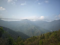 -天目山大树王景区