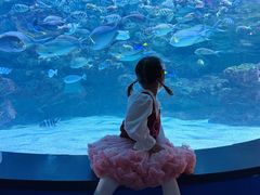 -海合安成都极地海洋公园