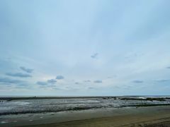 -启东黄金海滩景区