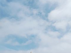 -涉地可支