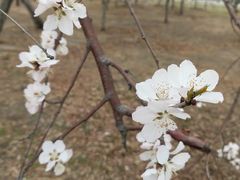 -长春公园(普阳街道)