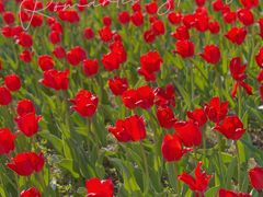 -长春公园(普阳街道)