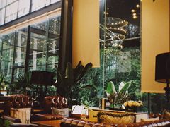 -桉树林A coffee 森林餐厅(三圣乡店)