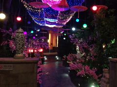 -海口观澜湖火山温泉谷