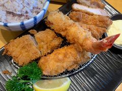 -胜博殿日式炸猪排(西红门店)