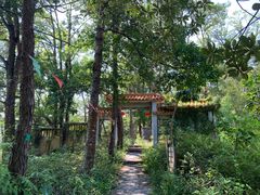 -广州市流溪河国家森林公园