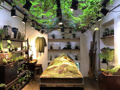 -植觉