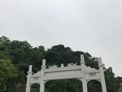 -羚羊峡古栈道森林公园