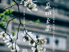 -耦园
