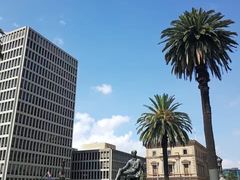 -墨尔本皇家植物园