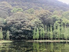 -广州市石门国家森林公园