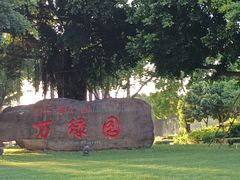 -万绿园