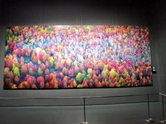 -罗红摄影艺术馆