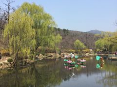 -棒棰岛宾馆景区
