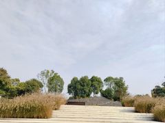 -眉山湿地公园(东坡区)