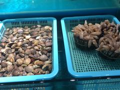 -学府海鲜批发市场