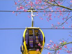 -广州市白云山风景名胜区