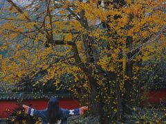 -青岛崂山太清宫