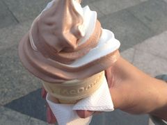 双味冰激凌-麦当劳(宾水西道店)