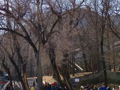 -阳台山自然风景区