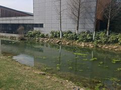 -田园东方蜜桃村的田野营地