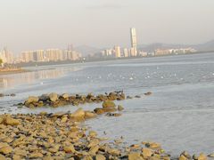 -深圳湾公园(南山区)