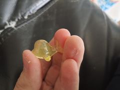 -成都市实验小学(战旗分校)