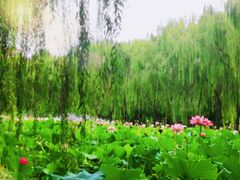 -东升八家郊野公园