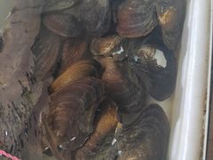 -西江河鲜·趣苑酒楼(鼎湖店)