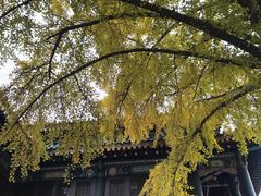 -国家图书馆·古籍馆