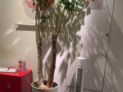 -满满初牛·炭烧牛肉专门店(国大店)