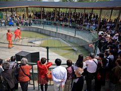 -中国扬子鳄村