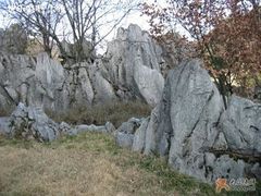 -千岛湖石林